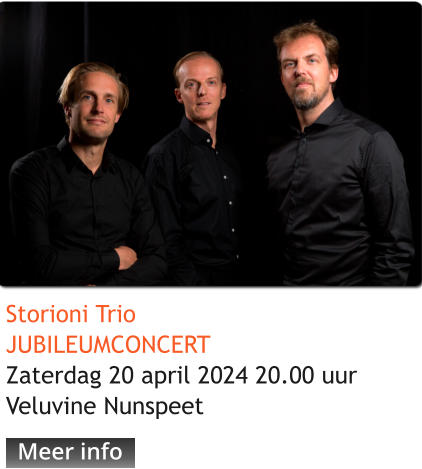 Storioni TrioJUBILEUMCONCERTZaterdag 20 april 2024 20.00 uurVeluvine Nunspeet Meer info Meer info